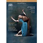 Chopin / Feeney: Royal Ballet The Cellist