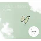 Indrio Sara: Break Of Day CD