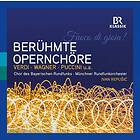 Beruhmte Opernchore CD