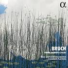 Bruch Max: String Quintets & Octet CD