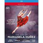 Nunez Marianela: Art Of Marianela Nunez