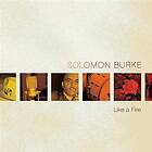 Burke Solomon: Like a fire 2008