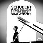 Schubert: Piano Sonatas D845/894/958/960 CD