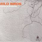 Kvinge & Rognlien: Wild Birds CD