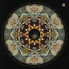 Bacao Rhythm & Steel Band: Expansions CD