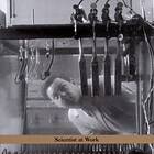 London Frank: Scientist At Work CD