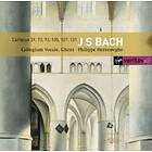 Bach: Kantater (Herreweghe Philippe)