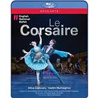 Adam: Le Corsaire