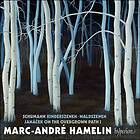 Schumann / Janacek: Piano Works CD