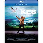 Baranowski Alex: Kes Reimagined