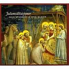 Kvalbein Aage & Iver Kleive: Julemeditasjoner CD