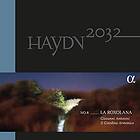 Haydn: Haydn 2032 Vol 8 (Vinyl)