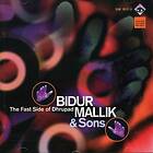 Mallik Bidur: Fast Side Of Dhrupad CD