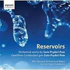 Puw: Reservoirs