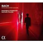 Bach: Missae Breves Bwv 234 & 235 CD