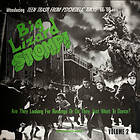 Big Lizard Stomp (Vinyl)
