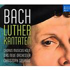 Bach: Lutherkantaten CD