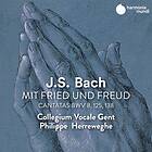 Bach: Cantatas Bwv 8/125/138 CD