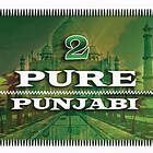 Pure Punjabi 2 CD