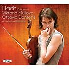 Bach: Concertos