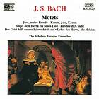 Bach: Motets