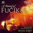Fucik Julius: A Festival Of Fucik CD
