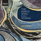 Bruce David: The North Wind Was A Woman CD