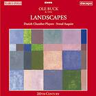 Buck Ole: Landscapes CD