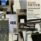 Meyer Krzysztof: Instrumental Music CD