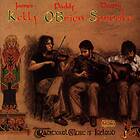 Traditional Music Of Ireland CD