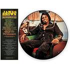 Brown James: Godfather Of Soul Live At Chastain (Vinyl)