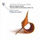 Bach: Meins Lebens Licht CD