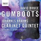Bruce David: Gumboots / etc CD