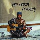 Krdum Ebo: Diversity 2021 CD