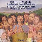 Desprez Josquin: Masses CD