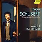 Schubert: Impromptus & Klavierstücke CD