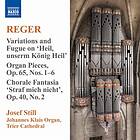 Reger: Organ Works Vol 9