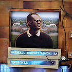 Kouyate Bassekou & Ngoni Ba: Ba Power (Vinyl)