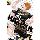 Haikyu!! Vol. 45