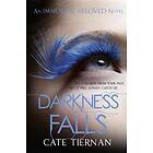 Darkness Falls (Immortal Beloved Book Two)