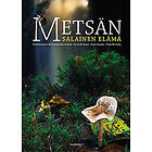 Metsän salainen elämä