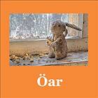 Öar