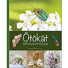 Ötökät lähiluonnossa