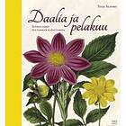 Daalia ja pelakuu