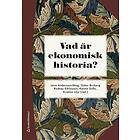 Vad är ekonomisk historia?