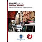 Tales of transit : Sub-Saharan African migrants' experiences in Istanb