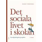 Det sociala livet i skolan : socialpsykologiska perspektiv