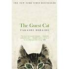 Guest Cat The