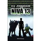Nivå 13