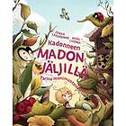 Kadonneen madon jäljillä